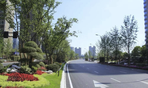 江海工业园道路绿化工程